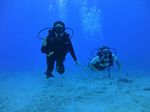 Hawaii Scuba divng 52