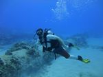 Hawaii Scuba divng 72