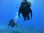 Hawaii Scuba divng 73