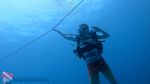 Waikiki Scuba 15
