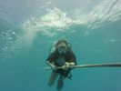 Hawaii Scuba divng 10