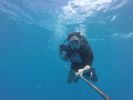 Hawaii Scuba divng 11