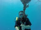 Hawaii Scuba divng 16