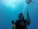 Hawaii Scuba divng 17