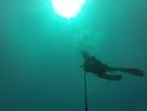 Hawaii Scuba divng 19