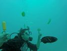 Hawaii Scuba divng 34