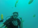 Hawaii Scuba divng 35