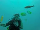 Hawaii Scuba divng 36