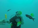 Hawaii Scuba divng 37