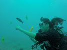 Hawaii Scuba divng 40