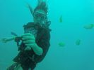 Hawaii Scuba divng 42