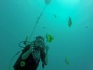 Hawaii Scuba divng 48