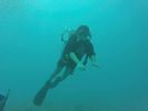 Hawaii Scuba divng 56