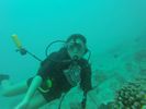 Hawaii Scuba divng 66