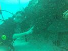 Hawaii Scuba divng 73