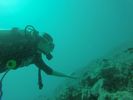 Hawaii Scuba divng 81