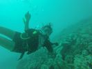 Hawaii Scuba divng 82