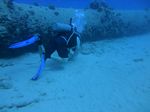 Hawaii Scuba divng 10