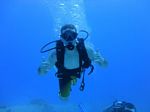 Hawaii Scuba divng 13