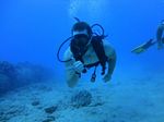 Hawaii Scuba divng 14