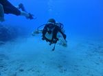 Hawaii Scuba divng 15