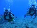 Hawaii Scuba divng 17