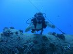 Hawaii Scuba divng 20