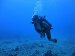 Hawaii Scuba divng 22