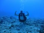 Hawaii Scuba divng 23