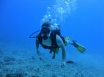 Hawaii Scuba divng 24