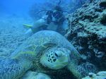 Hawaii Scuba divng 26