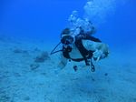 Hawaii Scuba divng 37