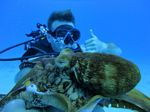 Hawaii Scuba divng 41