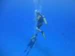 Hawaii Scuba divng 04