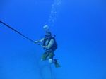 Hawaii Scuba divng 56