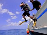 Hawaii Scuba divng 12