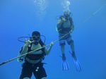 Hawaii Scuba divng 16