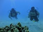 Hawaii Scuba divng 19