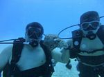 Hawaii Scuba divng 22