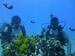 Hawaii Scuba divng 23