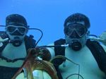 Hawaii Scuba divng 26