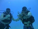 Hawaii Scuba divng 31