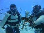 Hawaii Scuba divng 32