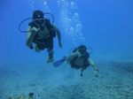 Hawaii Scuba divng 36