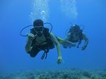 Hawaii Scuba divng 38