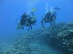 Hawaii Scuba divng 41