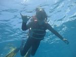 Hawaii Scuba divng 44