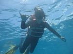 Hawaii Scuba divng 44