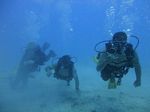 Hawaii Scuba divng 52