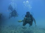 Hawaii Scuba divng 59